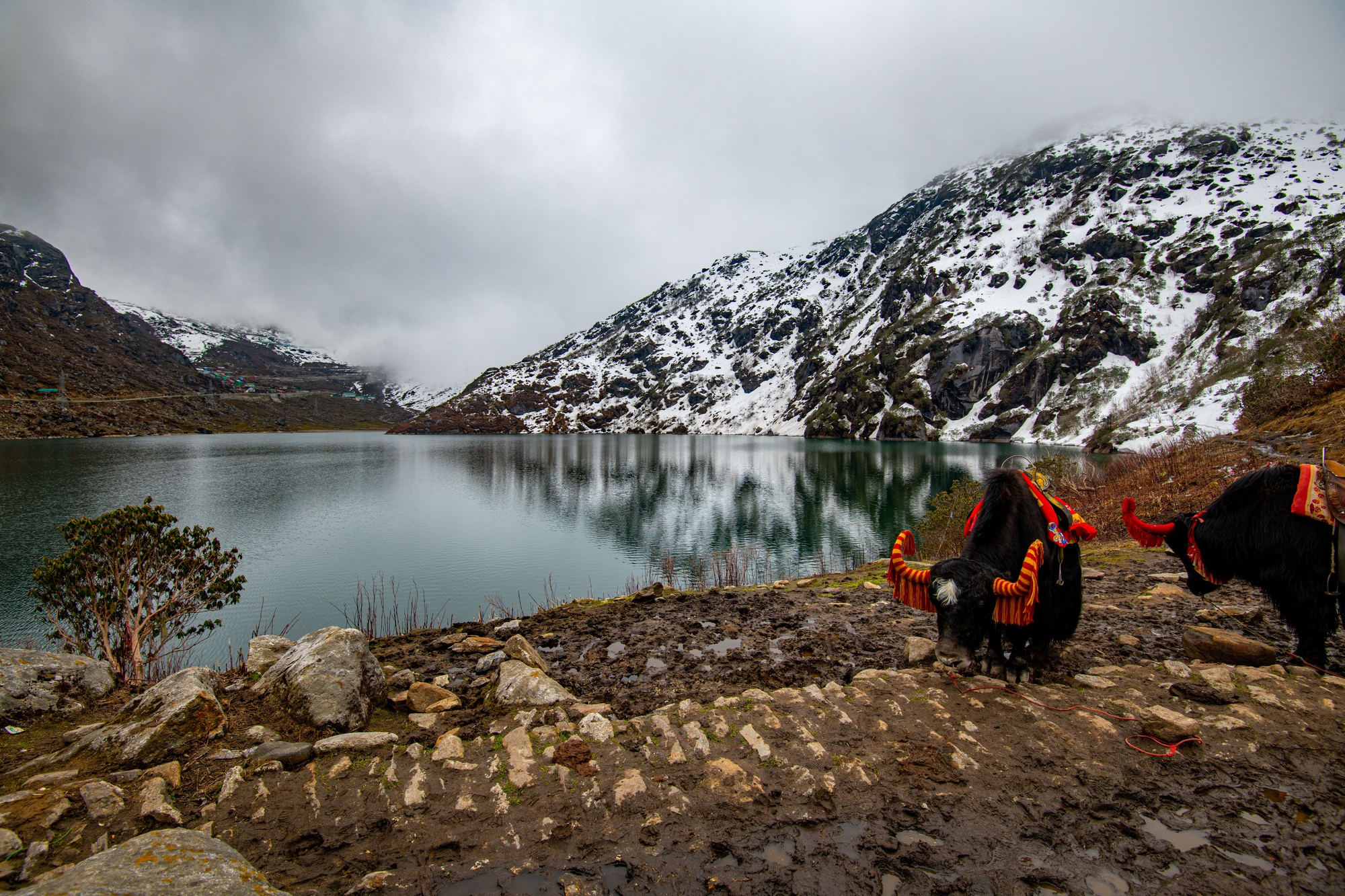 Beautiful view of the Tsomgo Lake in Sikkim, India on a gloomy day