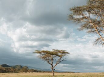 Kenya Sunset Sunrise Sundowner Hills Mountains Landscapes Plants vegetation Kenya East Africa safari